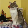 Отзыв от Любовь Гуляева